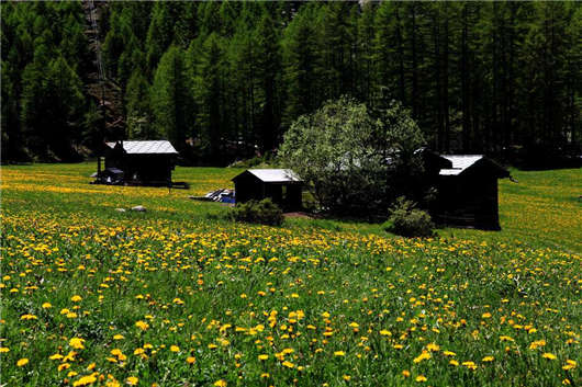 德國度假天堂尤伊斯特與施瓦本汝拉山風光 德國度假天堂尤伊斯特與施瓦本汝拉山風光