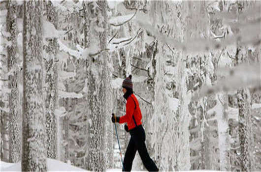 留學(xué)德國畢業(yè)難,解決這些您就可以成功! 留學(xué)德國畢業(yè)難,解決這些您就可以成功!