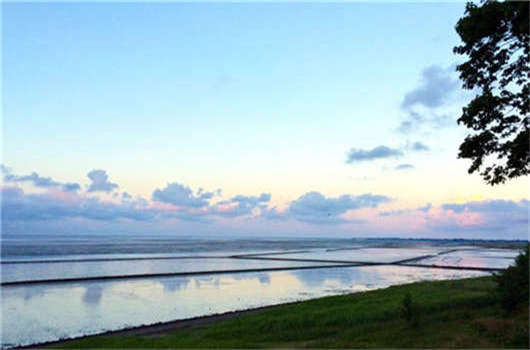 移民優勢解讀，德國如何成為歐洲第二移民國家！