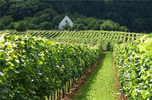 德國企業(yè)稅收您有必要了解一下! 德國企業(yè)稅收您有必要了解一下!