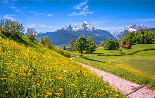 2020年3月1日新<a style='color:#268bd1;cursor:pointer;' href='/'>德國移民</a>政策開始實行,什么專業最受歡迎那? 2020年3月1日新德國移民政策開始實行,什么專業最受歡迎那?