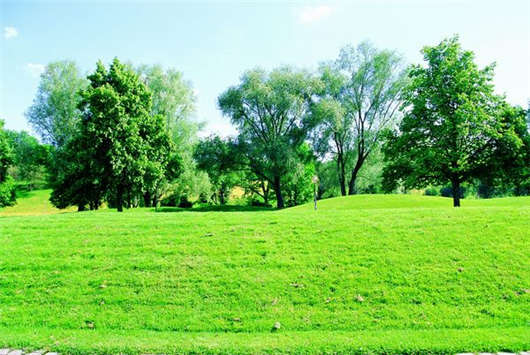 德國移民入籍指南，條件及相關文件介紹！