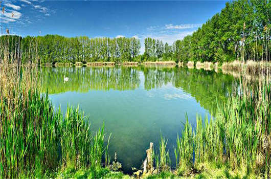 辦理<a style='color:#268bd1;cursor:pointer;' href='/'>移民德國</a>,德國歐盟藍卡移民計劃解讀 辦理移民德國,德國歐盟藍卡移民計劃解讀