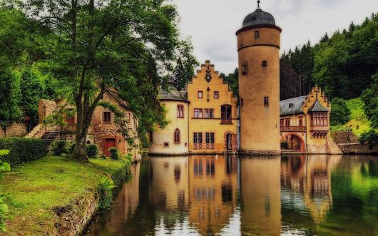 1741340709127924.jpg R-Cd (1).jpg